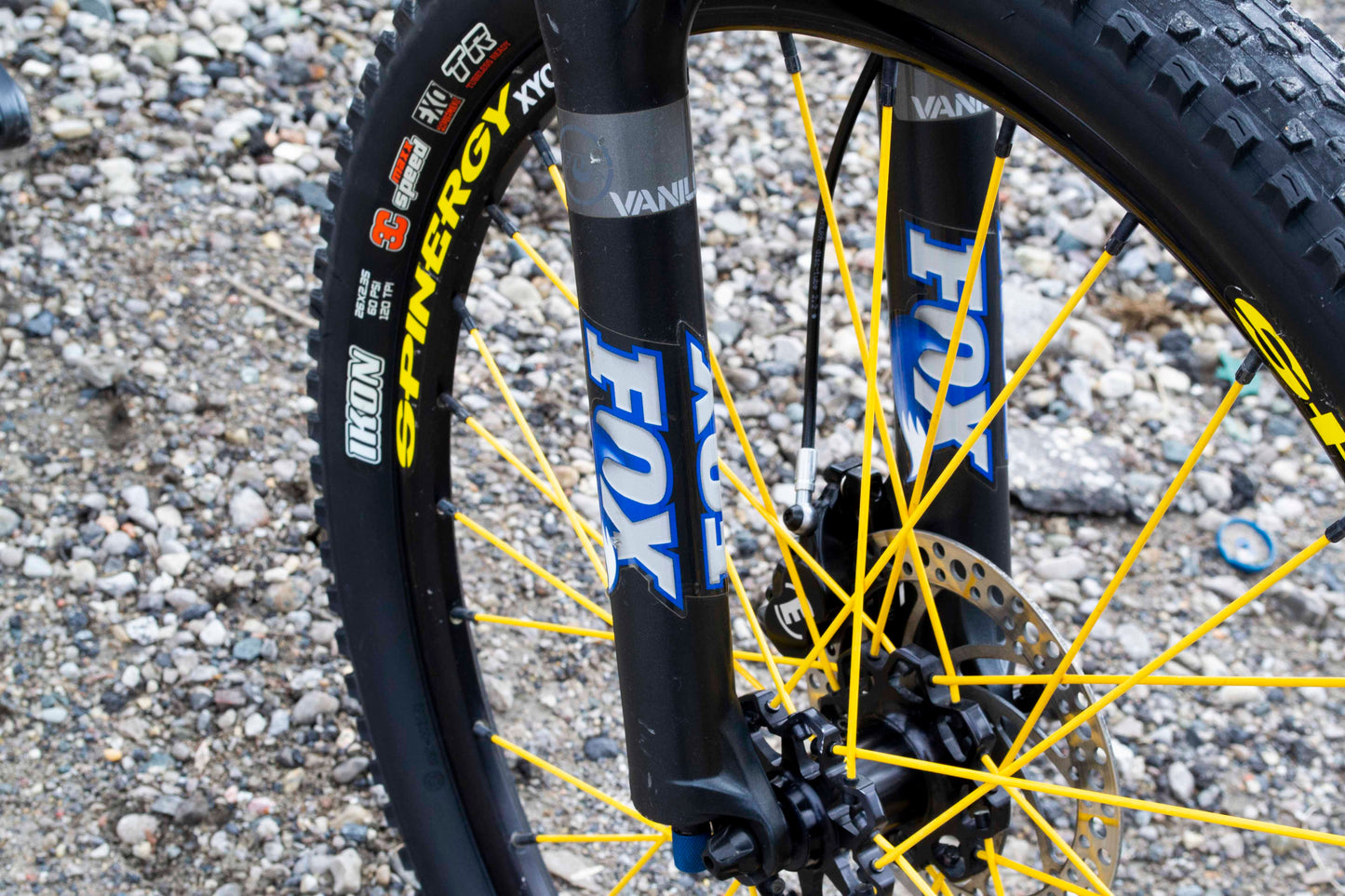 Santa Cruz Heckler