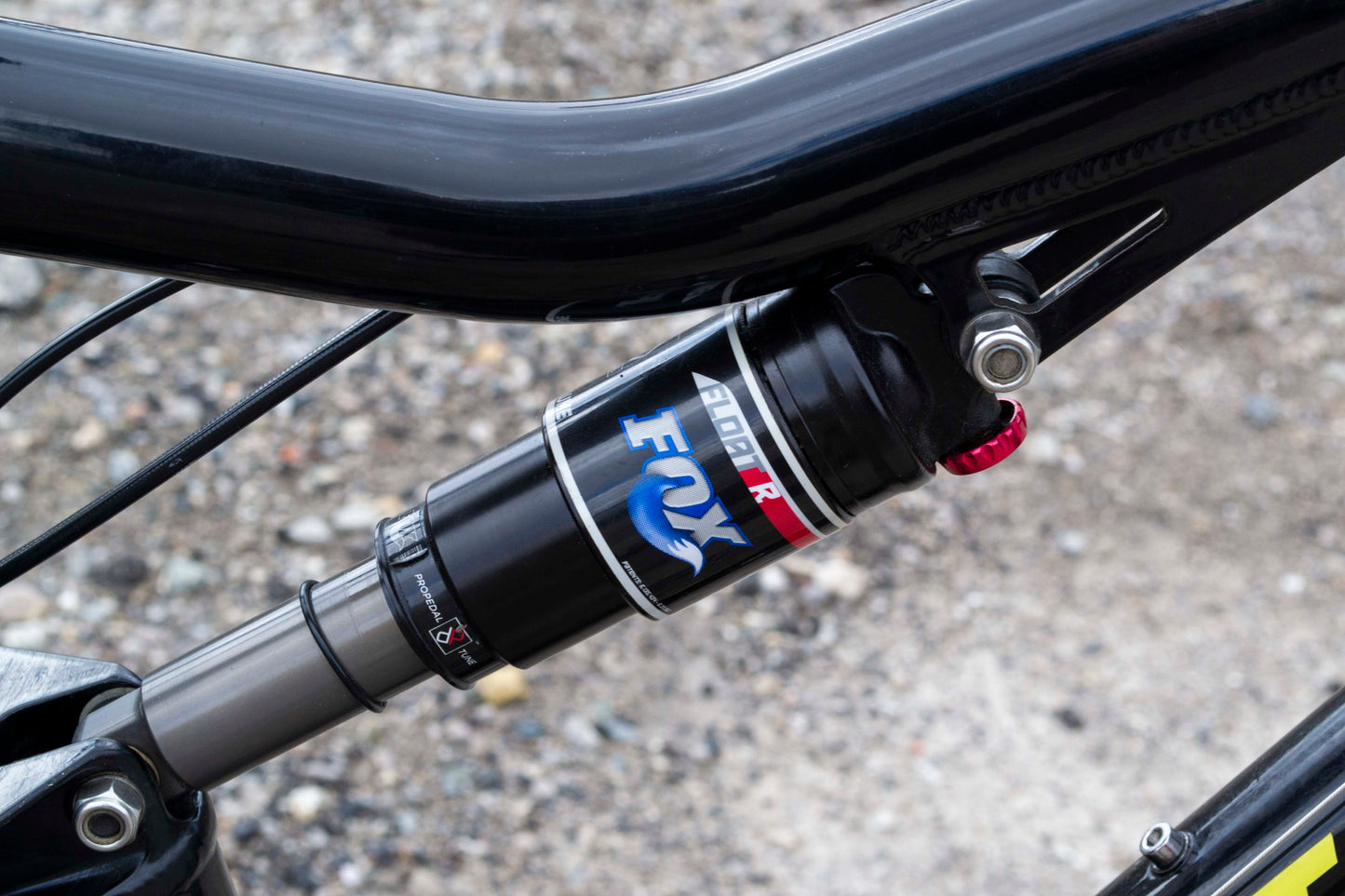 Santa Cruz Heckler