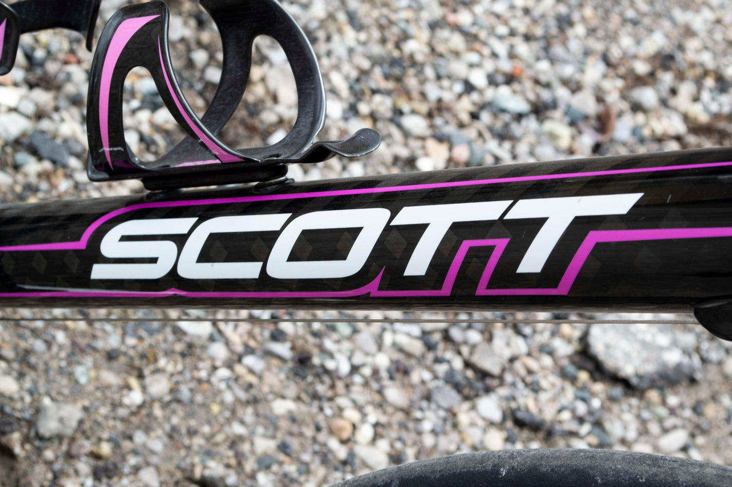 Scott Contessa
