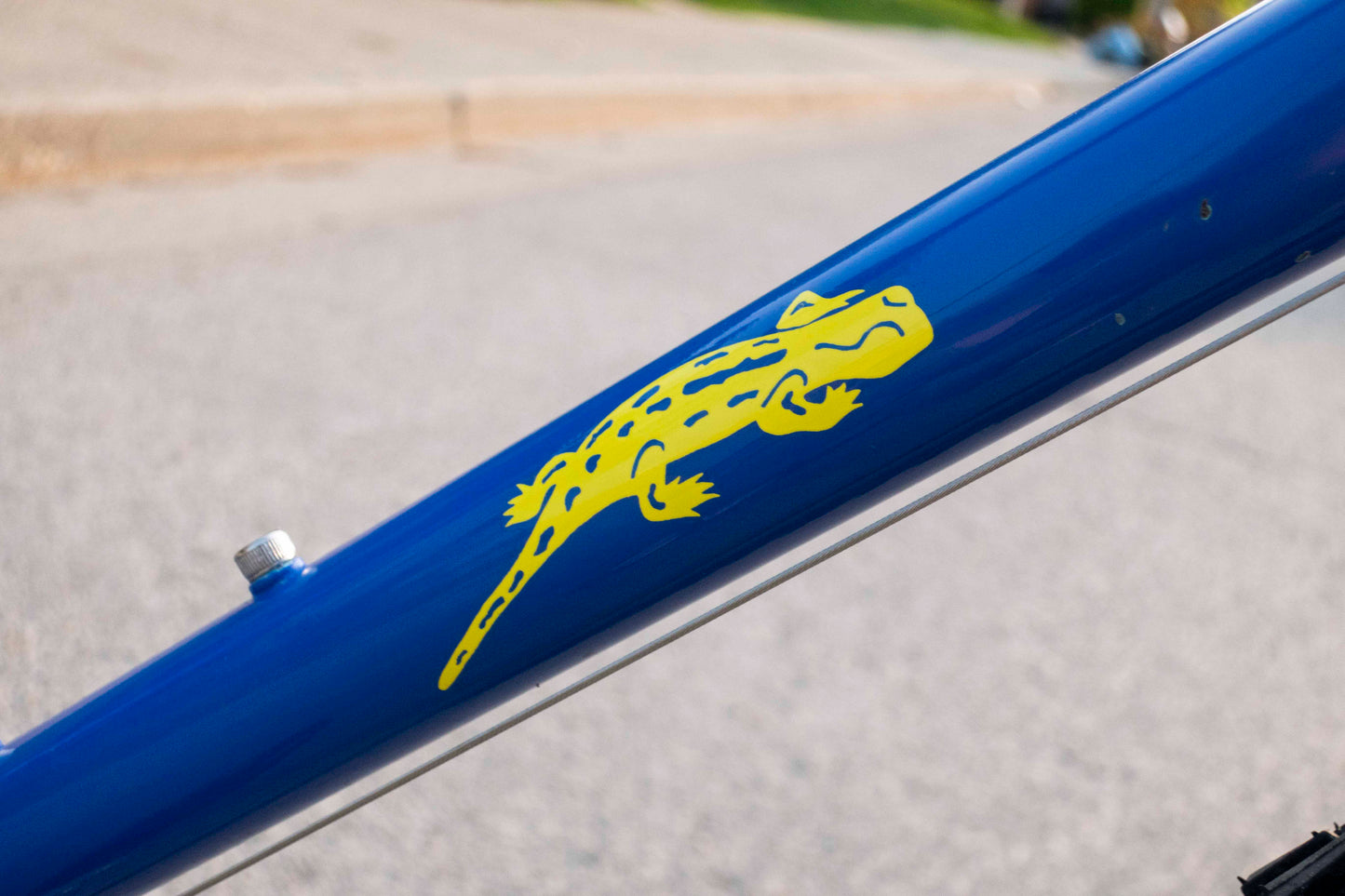 1989 Cinelli Sentiero MTB