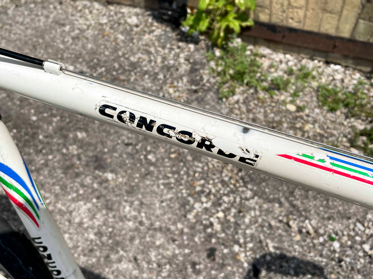 Concorde Gravel Bike