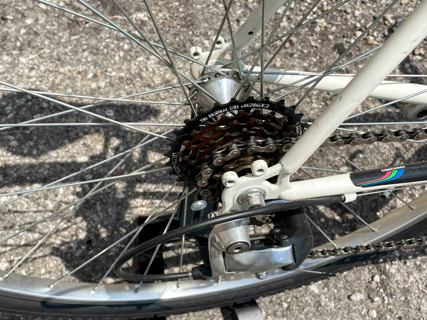 Concorde Gravel Bike