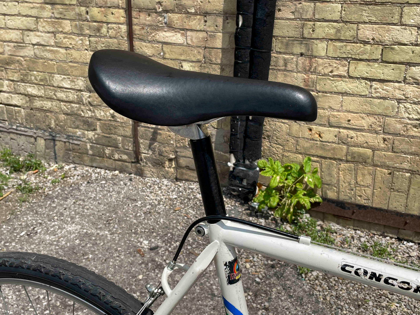 Concorde Gravel Bike