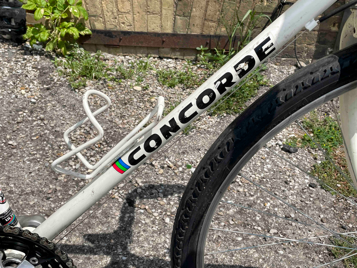 Concorde Gravel Bike