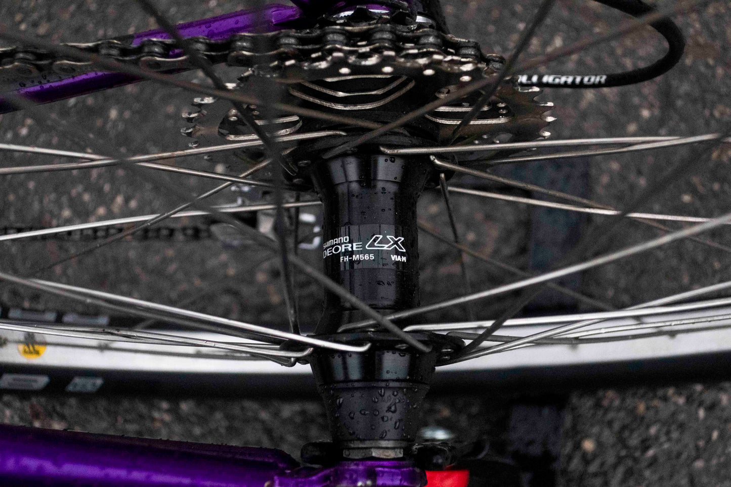 GT All-Terra Karakoram