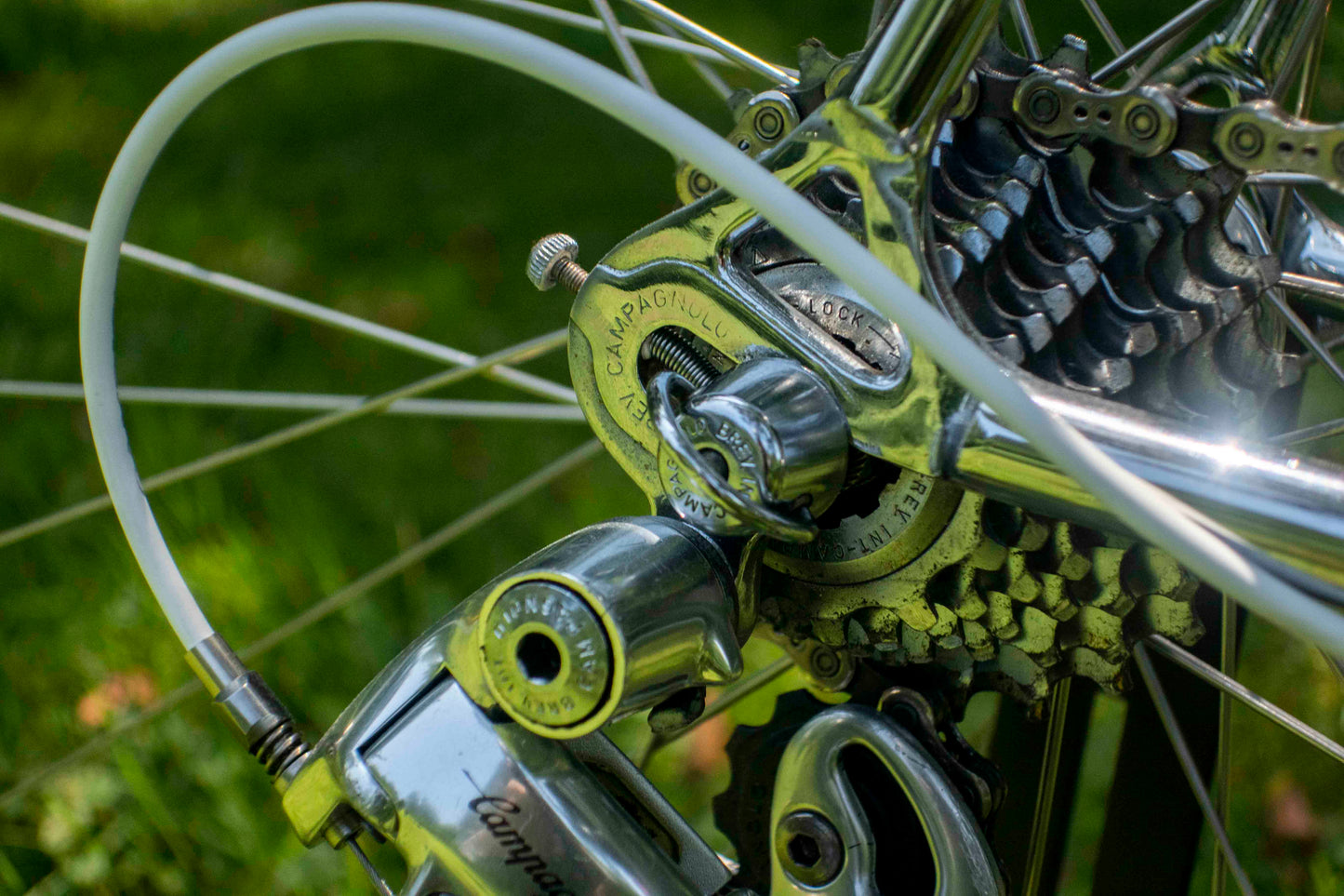 Pinarello Montello