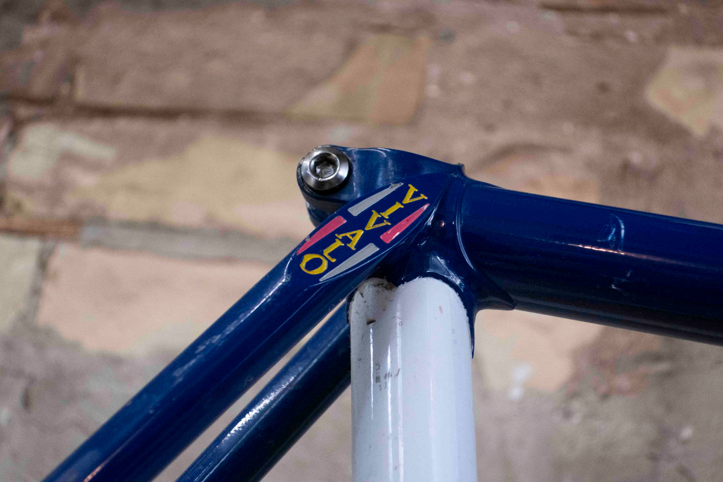 Vivalo Track Frameset (Blue)