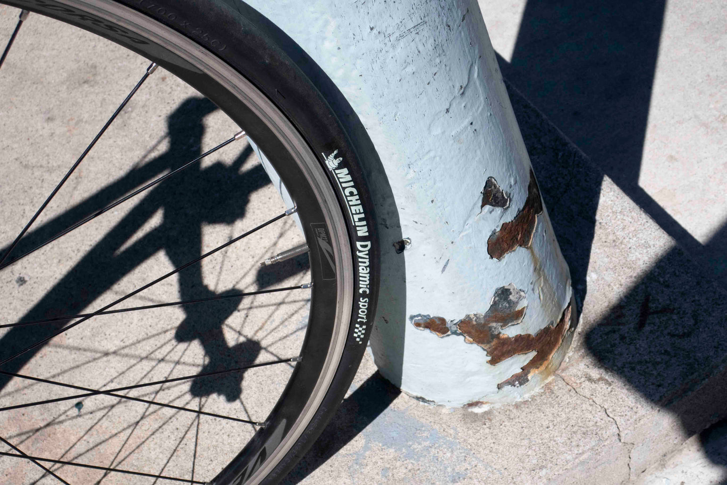 Fuji Track Singlespeed/Fixed Gear