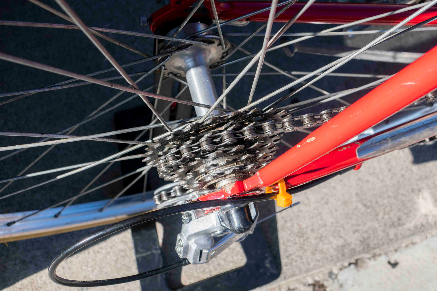 Bianchi Road Bike