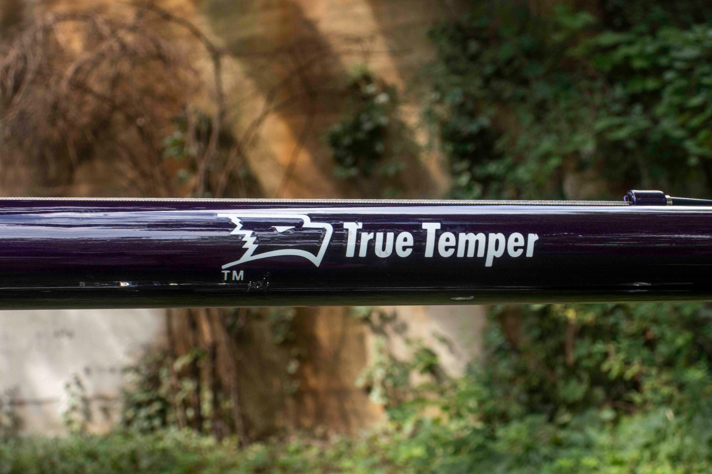 Trek 520 Touring Bike (M)