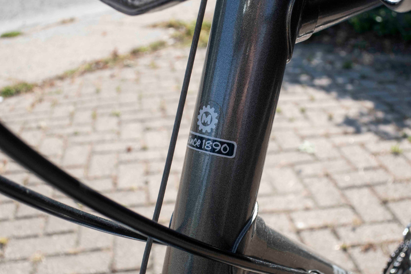 Miyata Terra Runner