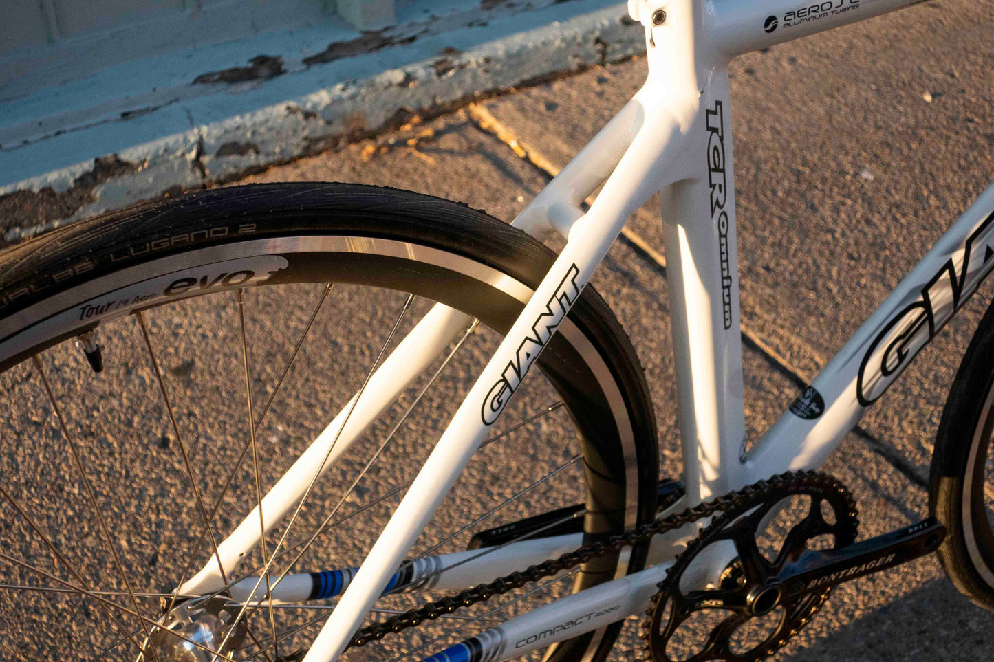 Giant Omnium TCR