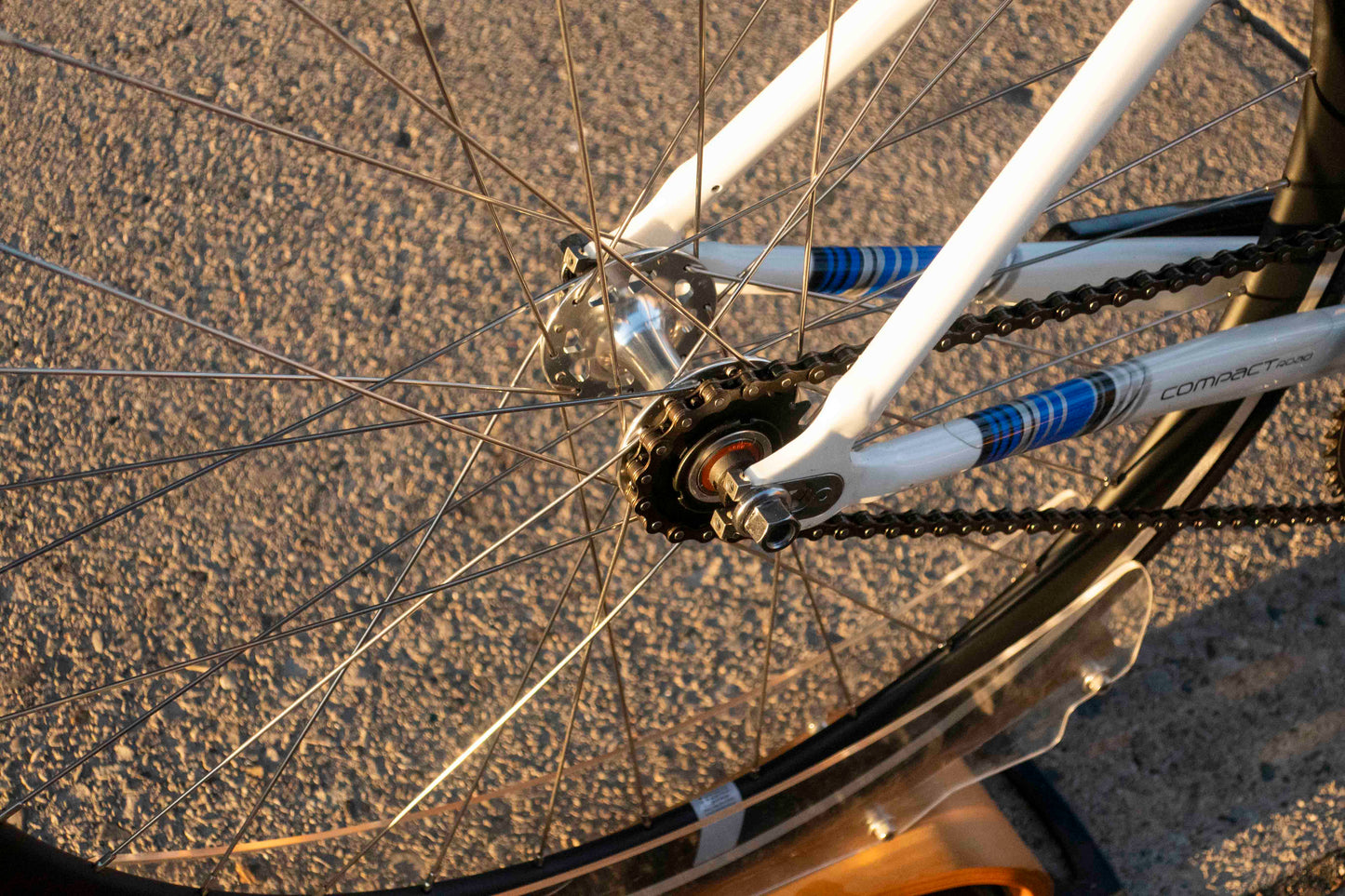 Giant Omnium TCR