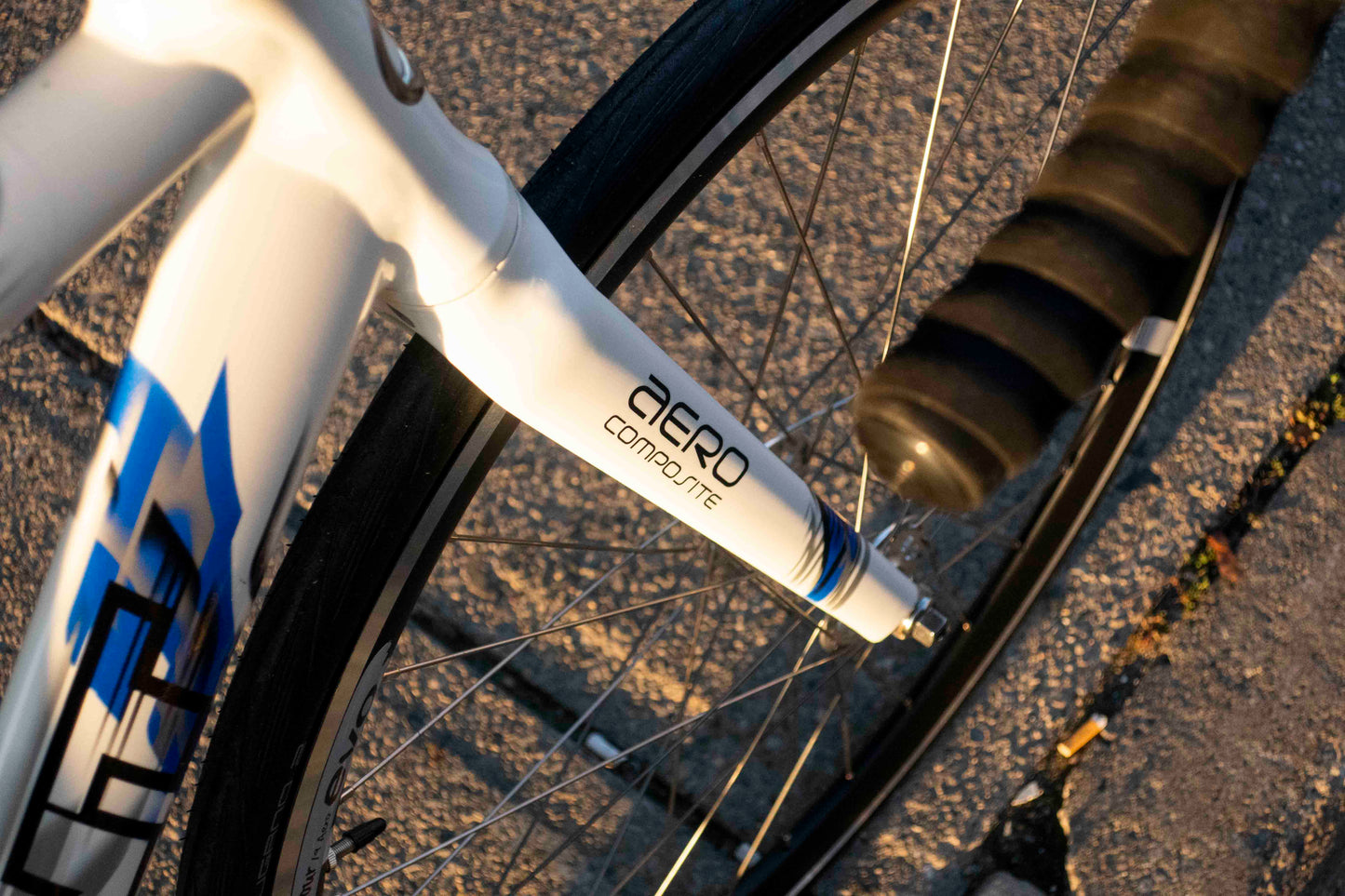Giant Omnium TCR