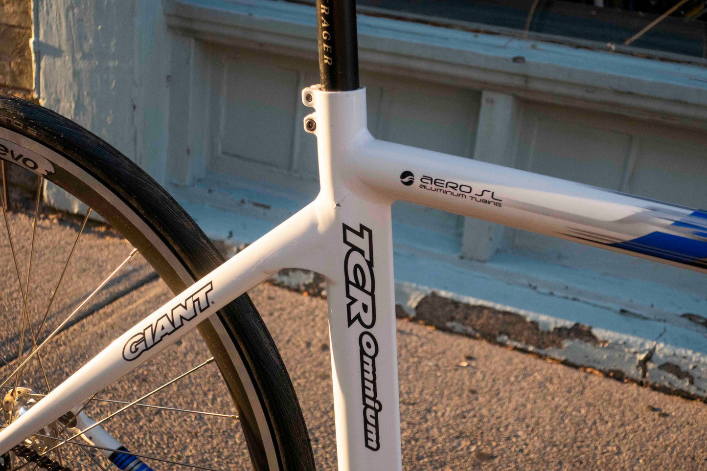 Giant Omnium TCR