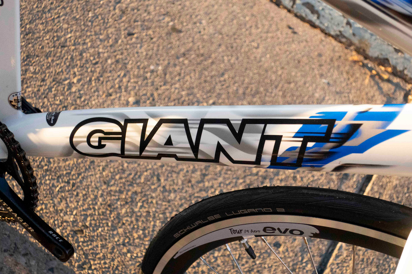 Giant Omnium TCR