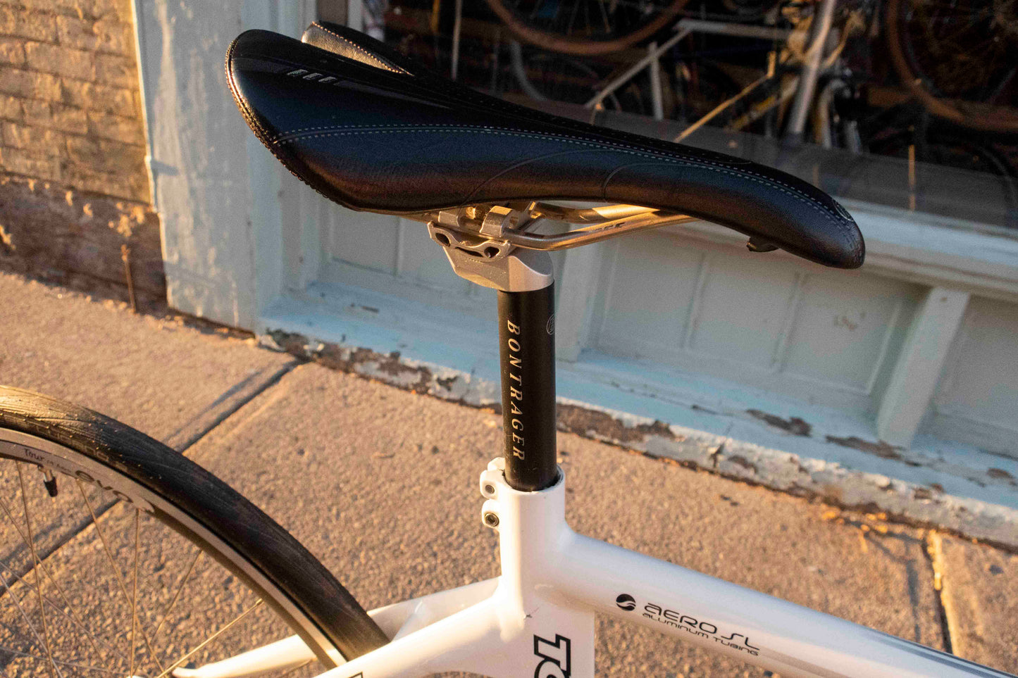 Giant Omnium TCR