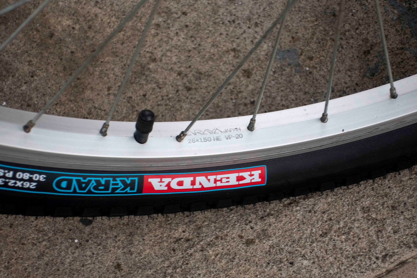 Mongoose Alta