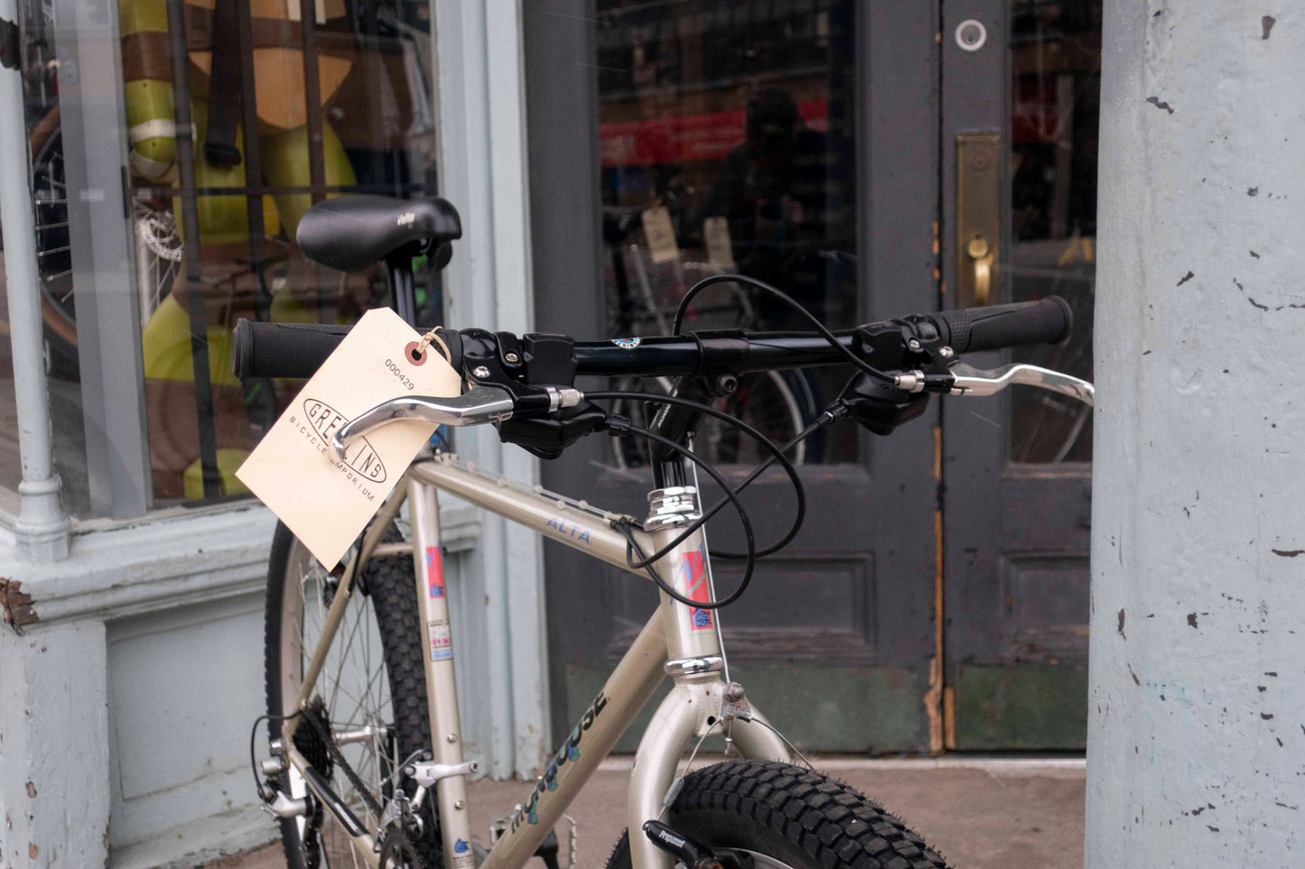 Mongoose Alta