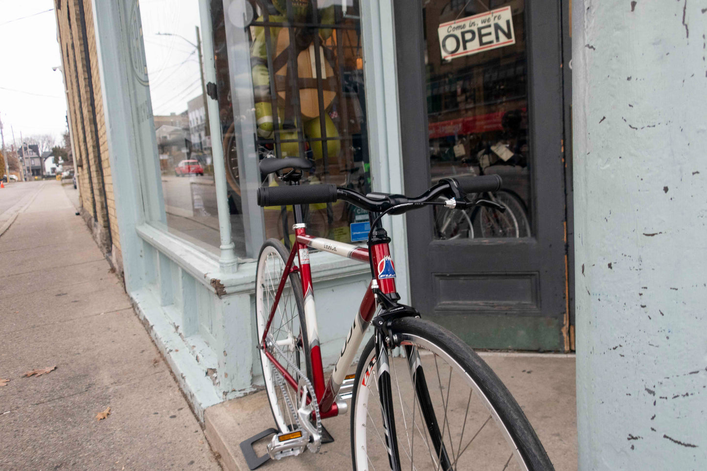 Fuji Track Singlespeed