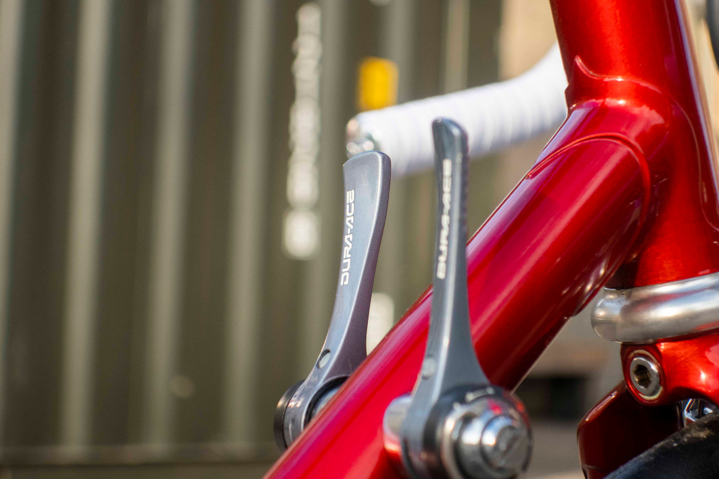 Schwinn Paramount