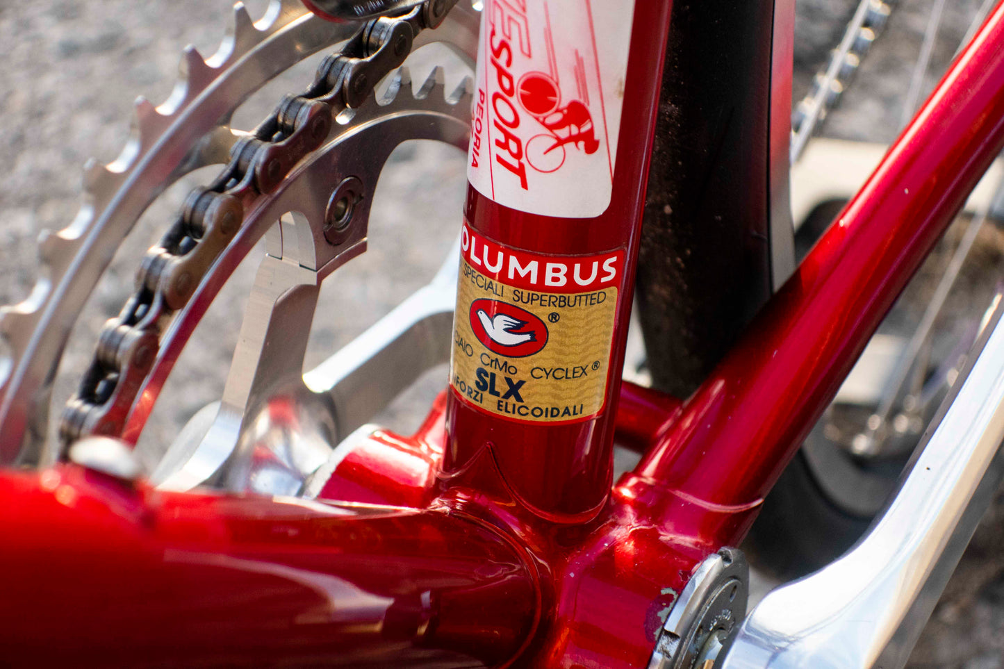 Schwinn Paramount