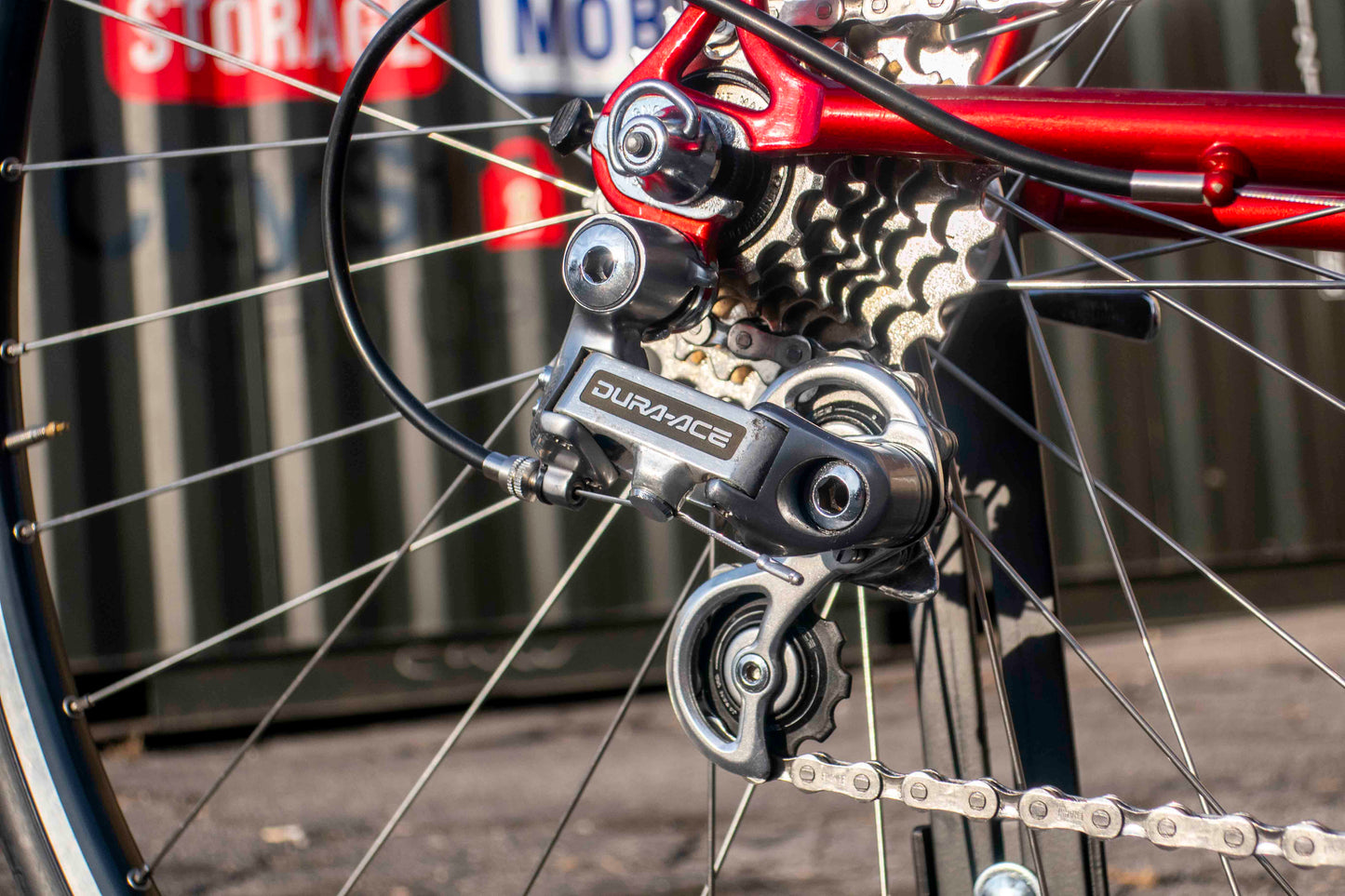 Schwinn Paramount