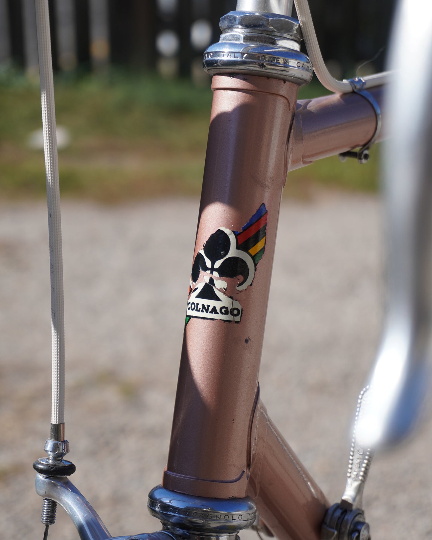 1973 Colnago Super