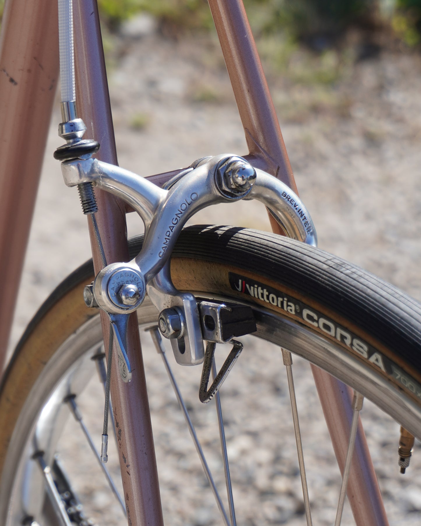 1973 Colnago Super