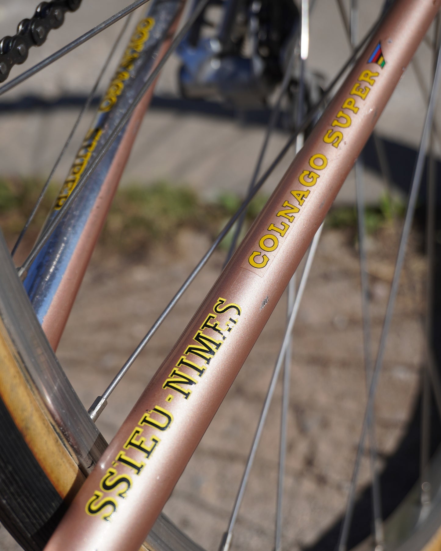 1973 Colnago Super