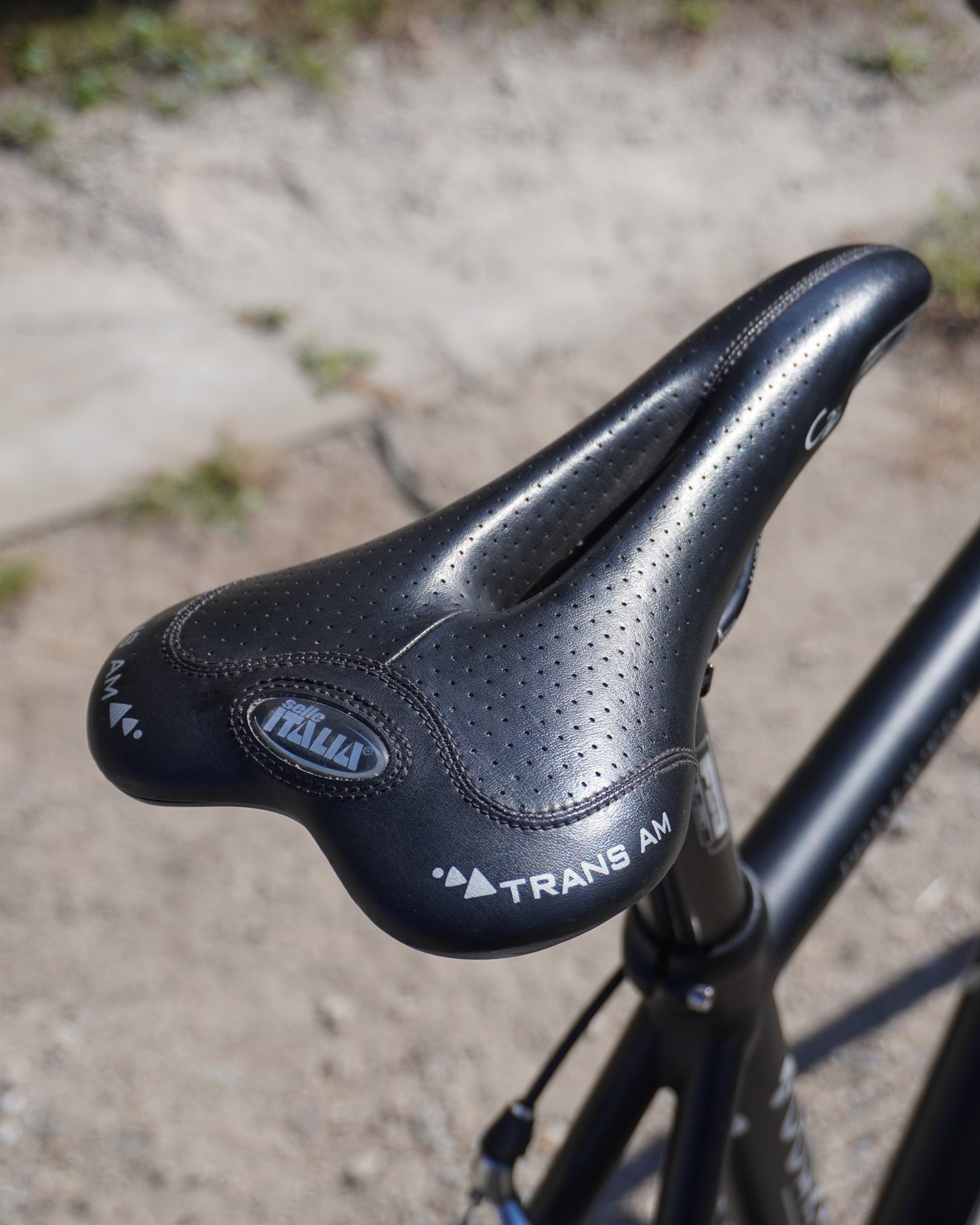 Colnago Prima Vera