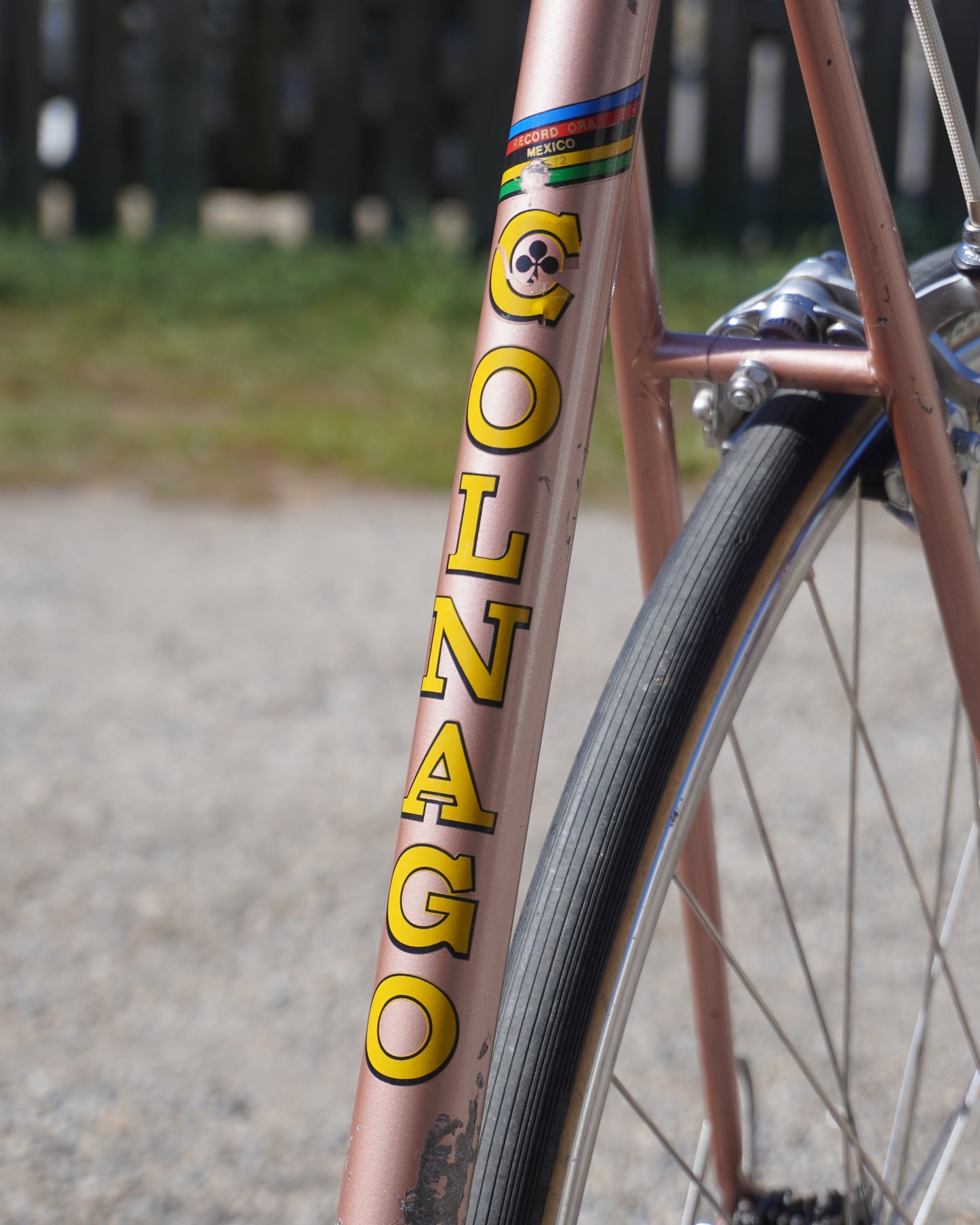 1973 Colnago Super