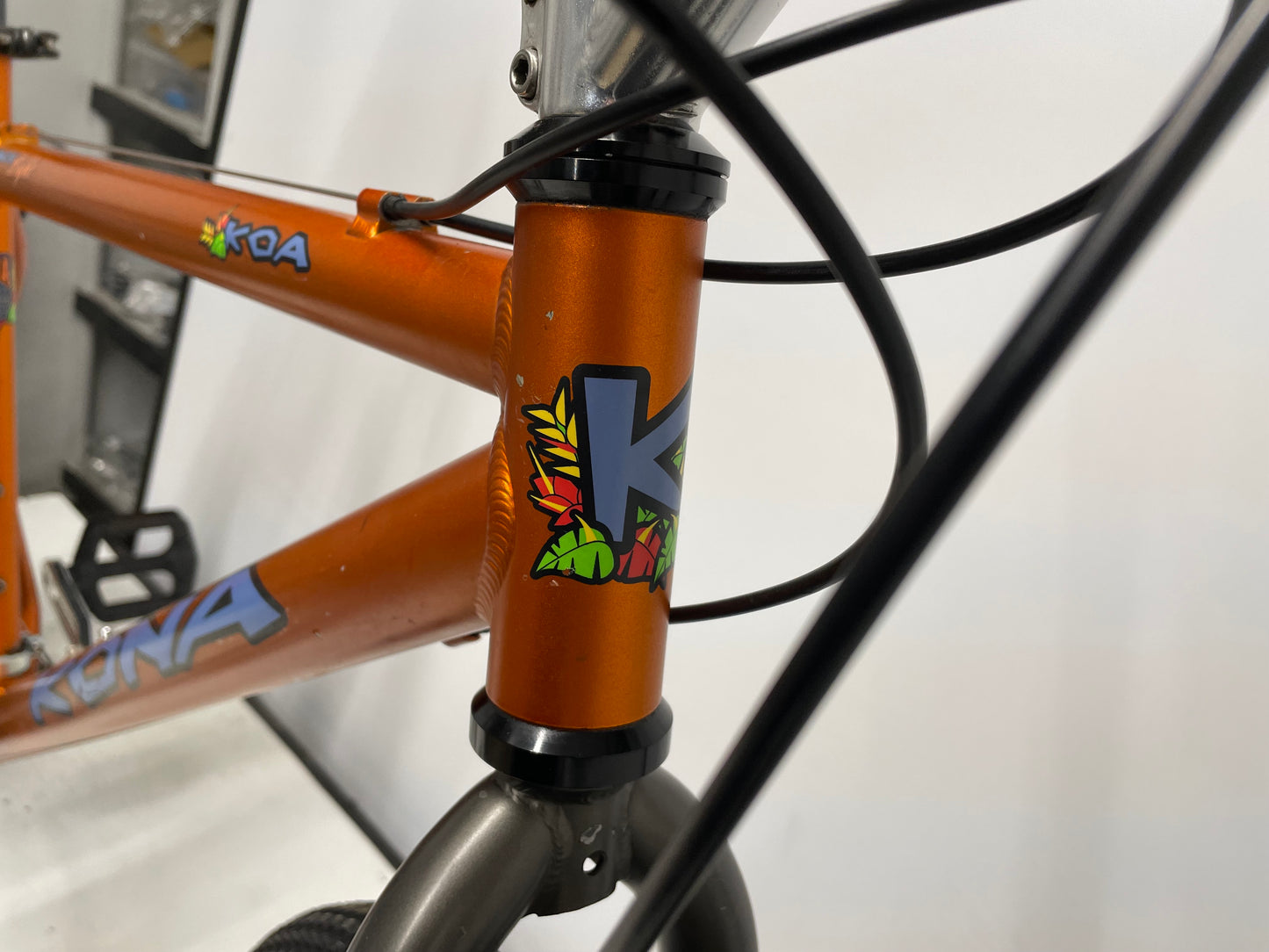 Kona Koa