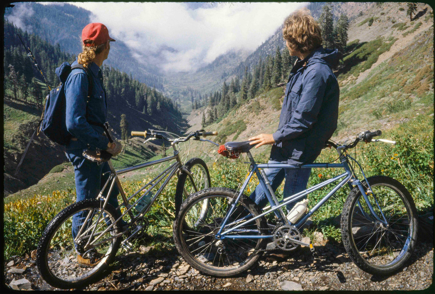 Wende Cragg MTB Prints
