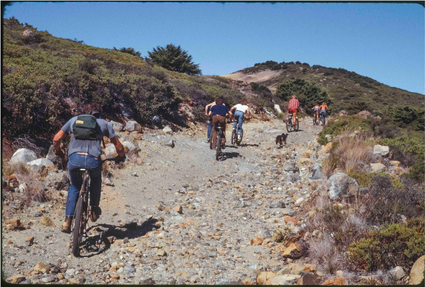 Wende Cragg MTB Prints