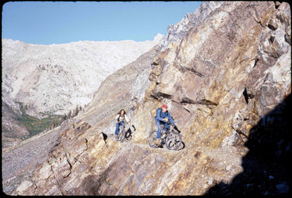 Wende Cragg MTB Prints