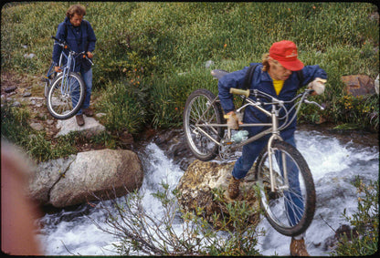 Wende Cragg MTB Prints