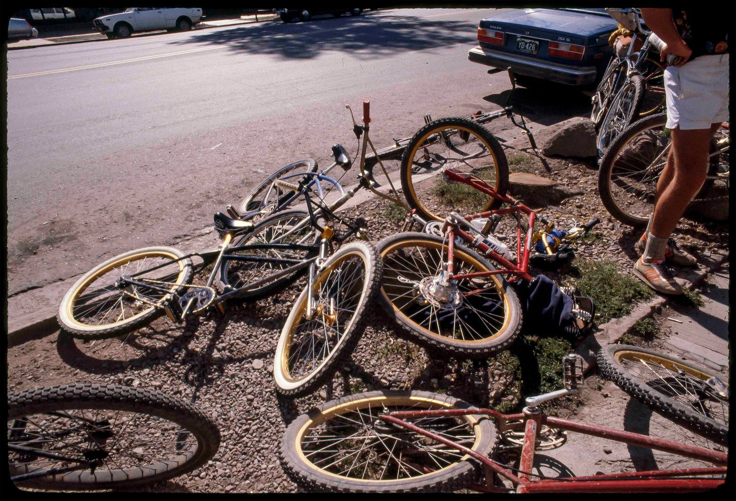 Wende Cragg MTB Prints