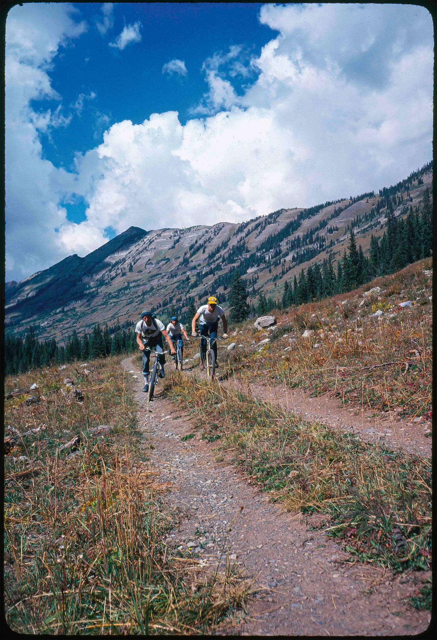 Wende Cragg MTB Prints