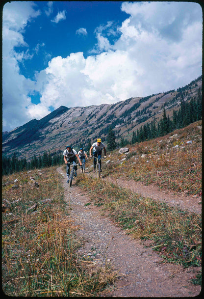 Wende Cragg MTB Prints
