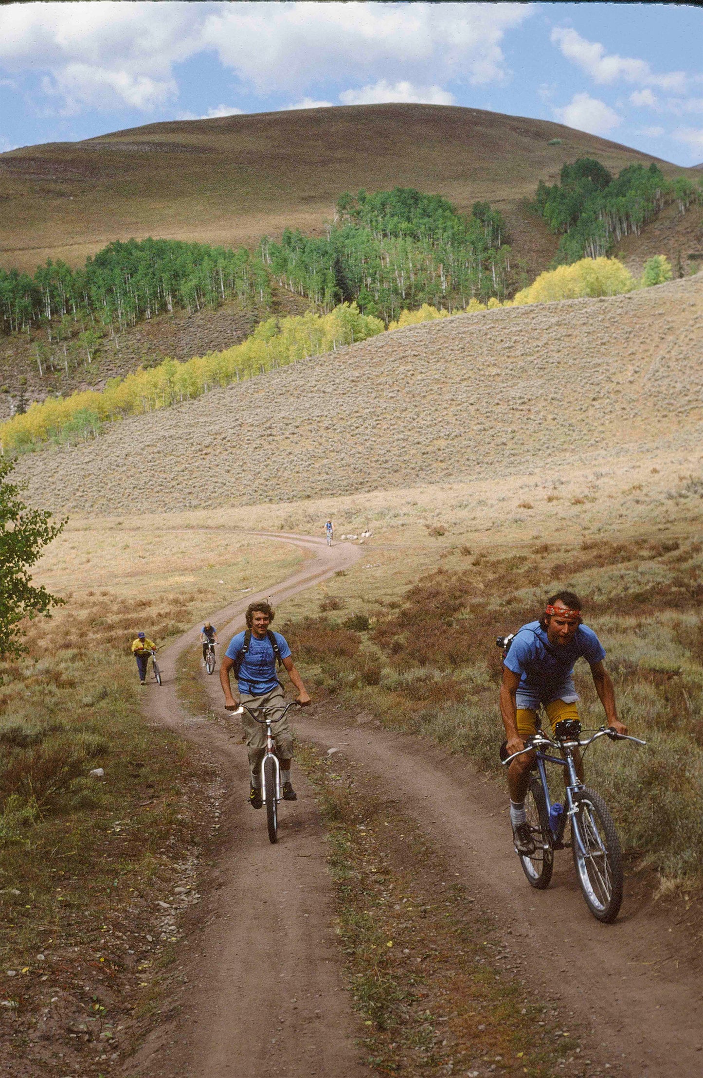 Wende Cragg MTB Prints