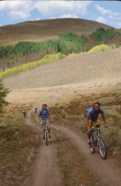 Wende Cragg MTB Prints