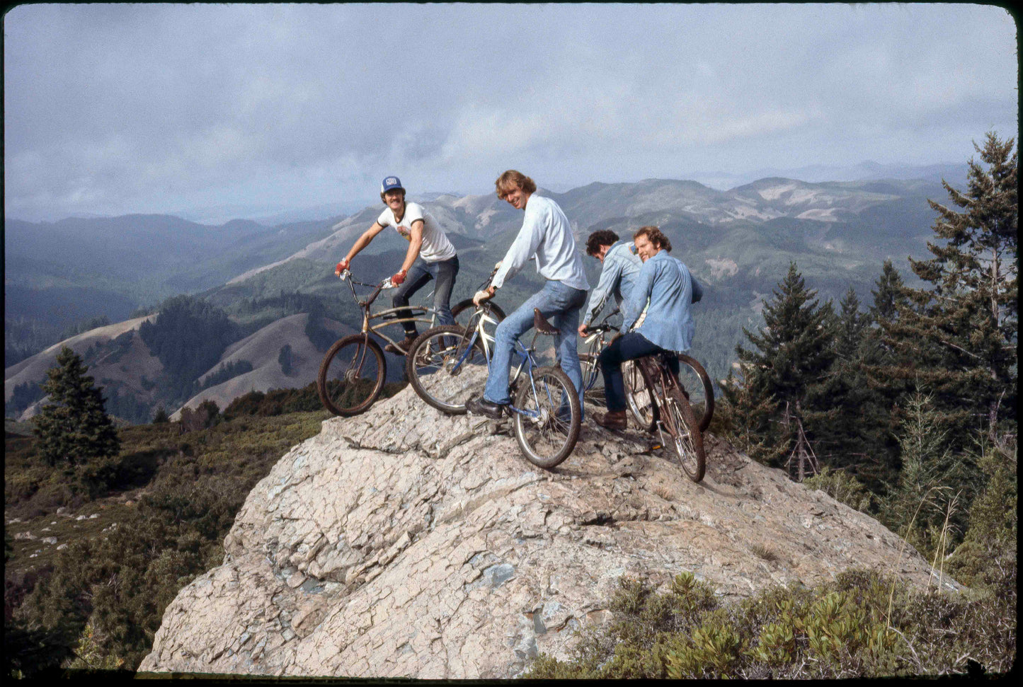 Wende Cragg MTB Prints
