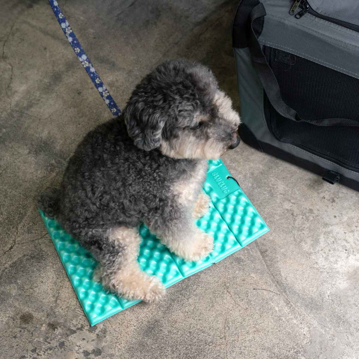 Blue Lug Puff Seat