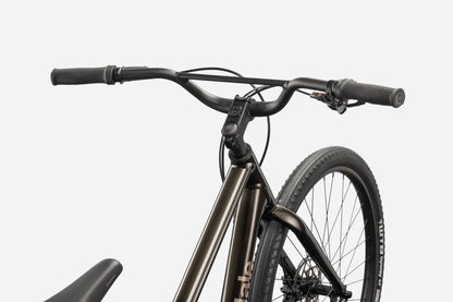 Cannondale Treadwell 2