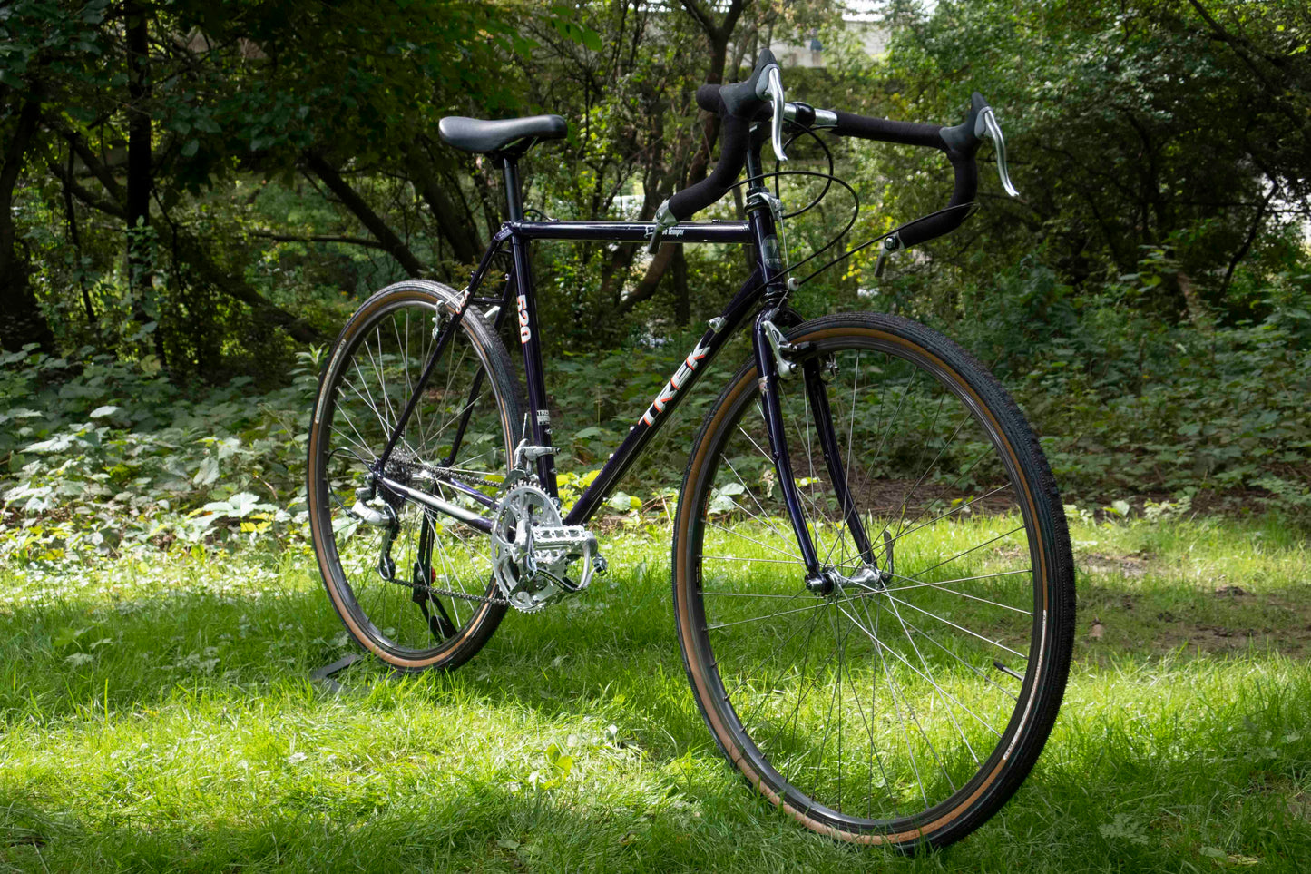 Trek 520 Touring Bike (M)