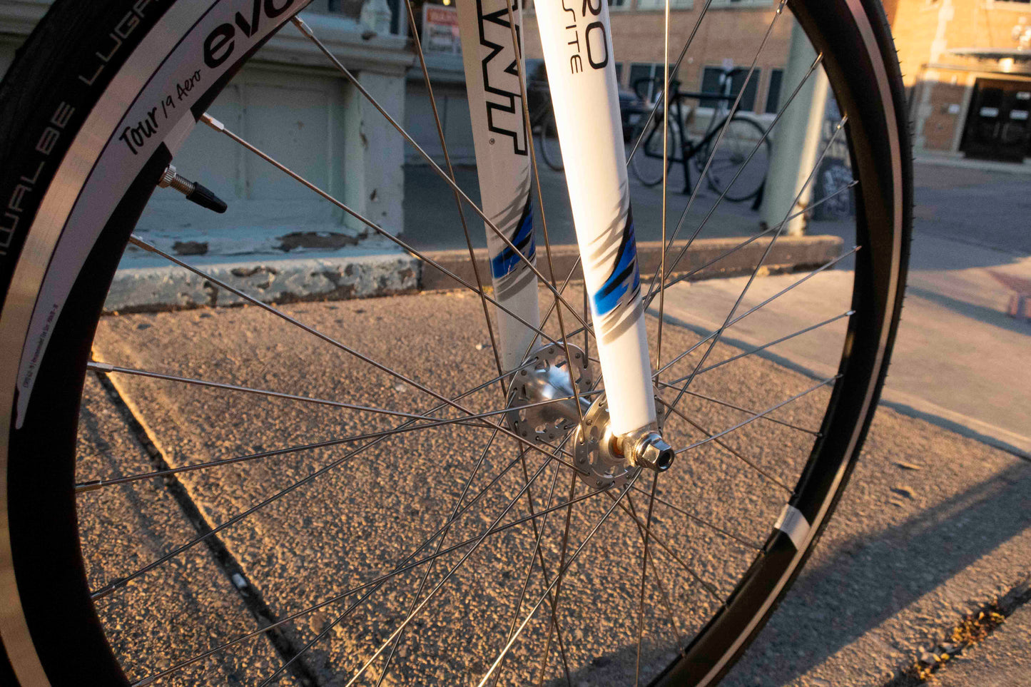 Giant Omnium TCR Track Bike/Fixed Gear