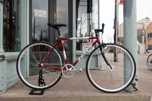Fuji Track Singlespeed