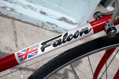 Falcon Team Road Bike