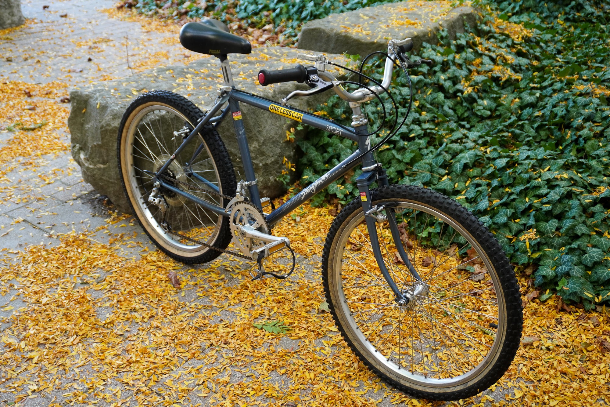 SPECIALIZED STUMPJUMPER SPORT – Gremlins Bicycle Emporium
